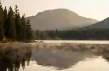 Same landscape at quality 1 with heavy smearing artifacts